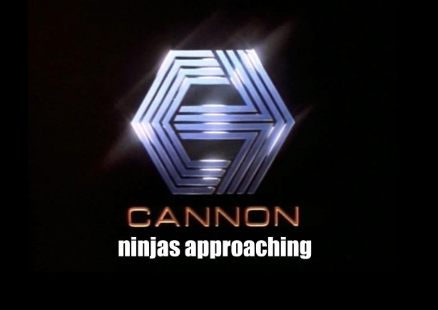 Cannon02