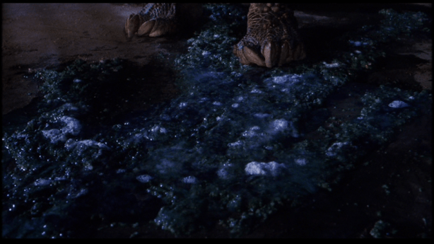 vlcsnap-2013-03-29-00h52m47s185