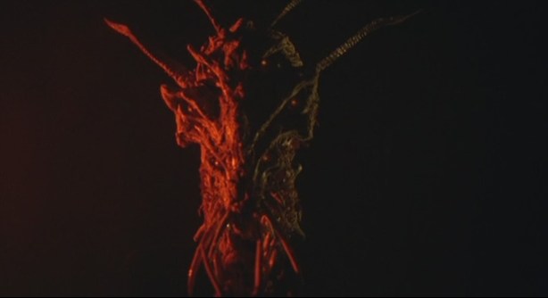 Looks like Suzanne's reflection to me