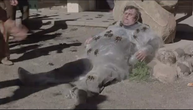 A lot of web needed for this guy