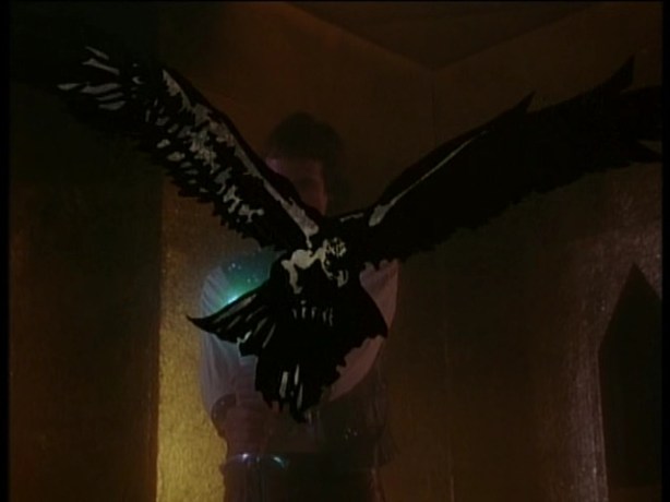 Is it a bird, a plane. No, its nothing